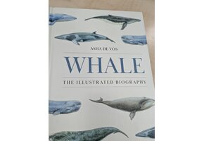 Damaged copy - Whale: The Illustrated Biography