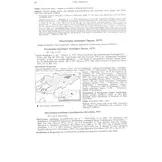 The Butterflies of Kyrgyzstan