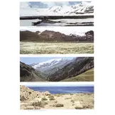 The Butterflies of Kyrgyzstan