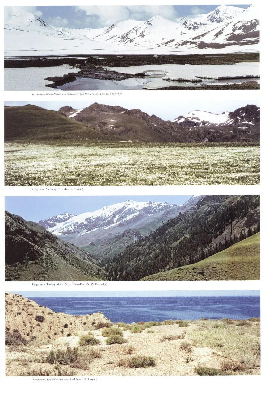 The Butterflies of Kyrgyzstan