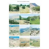 The Butterflies of Middle East (Lebanon, Syria, Israel, Jordan and Egypt (Sinai Peninsula))