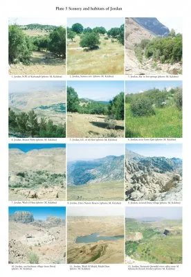 The Butterflies of Middle East (Lebanon, Syria, Israel, Jordan and Egypt (Sinai Peninsula))