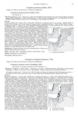 The Butterflies of Middle East (Lebanon, Syria, Israel, Jordan and Egypt (Sinai Peninsula))