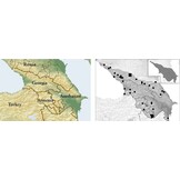 The Butterflies of Caucasus and Transcaucasia (Armenia, Azerbaijan, Georgia and Russian Federation)