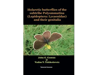 Holarctic Butterflies of the Subtribe Polyommatina (Lepidoptera: Lycaenidae) and Their Genitalia
