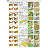 Butterflies of the Western Palaearctic - Volume 1: Hesperiidae, Papilionidae, Pieridae, Lycaenidae (partim)
