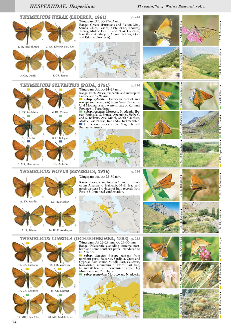 Butterflies of the Western Palaearctic - Volume 1: Hesperiidae, Papilionidae, Pieridae, Lycaenidae (partim)