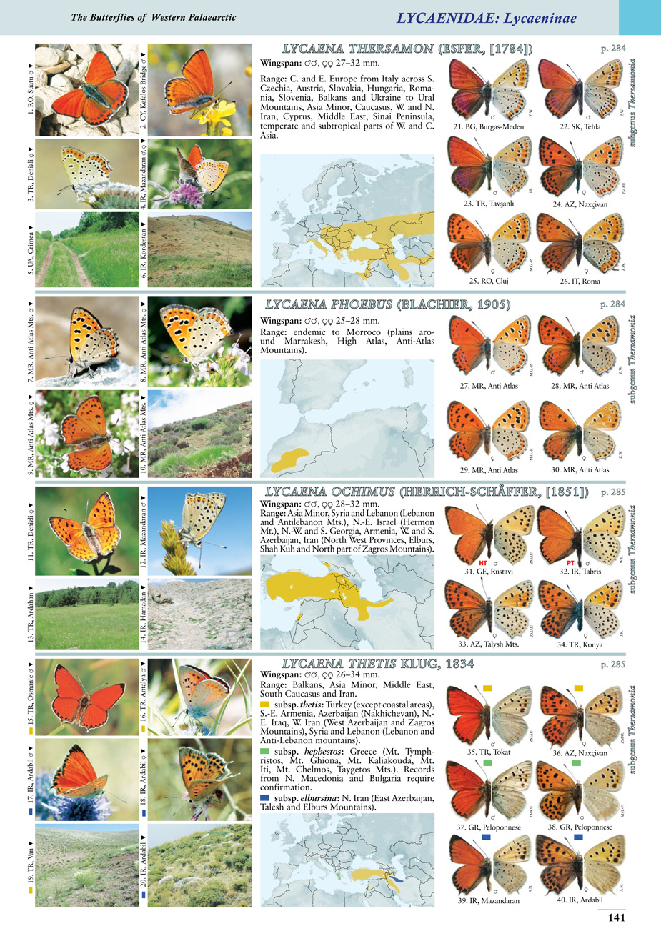 Butterflies of the Western Palaearctic - Volume 1: Hesperiidae, Papilionidae, Pieridae, Lycaenidae (partim)