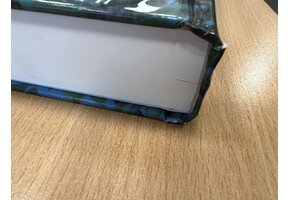 Damaged copy - Cuckoos of the World