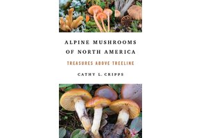 Alpine Mushrooms of North America
