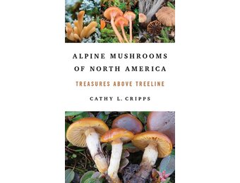 Alpine Mushrooms of North America