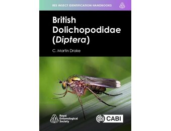 British Dolichopodidae (Diptera)