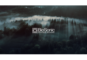 BioSonic - KI-gestützte akustische Fledermausanalyse