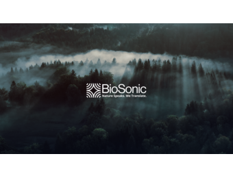 BioSonic - Analyse van vleermuisgeluiden met behulp van AI