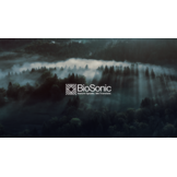 BioSonic - KI-gestützte akustische Fledermausanalyse