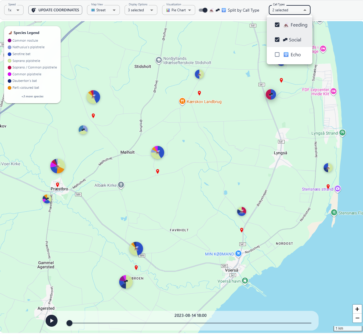 BioSonic - Analyse van vleermuisgeluiden met behulp van AI