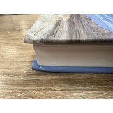 Damaged copy - The Rise of Mammals in Africa