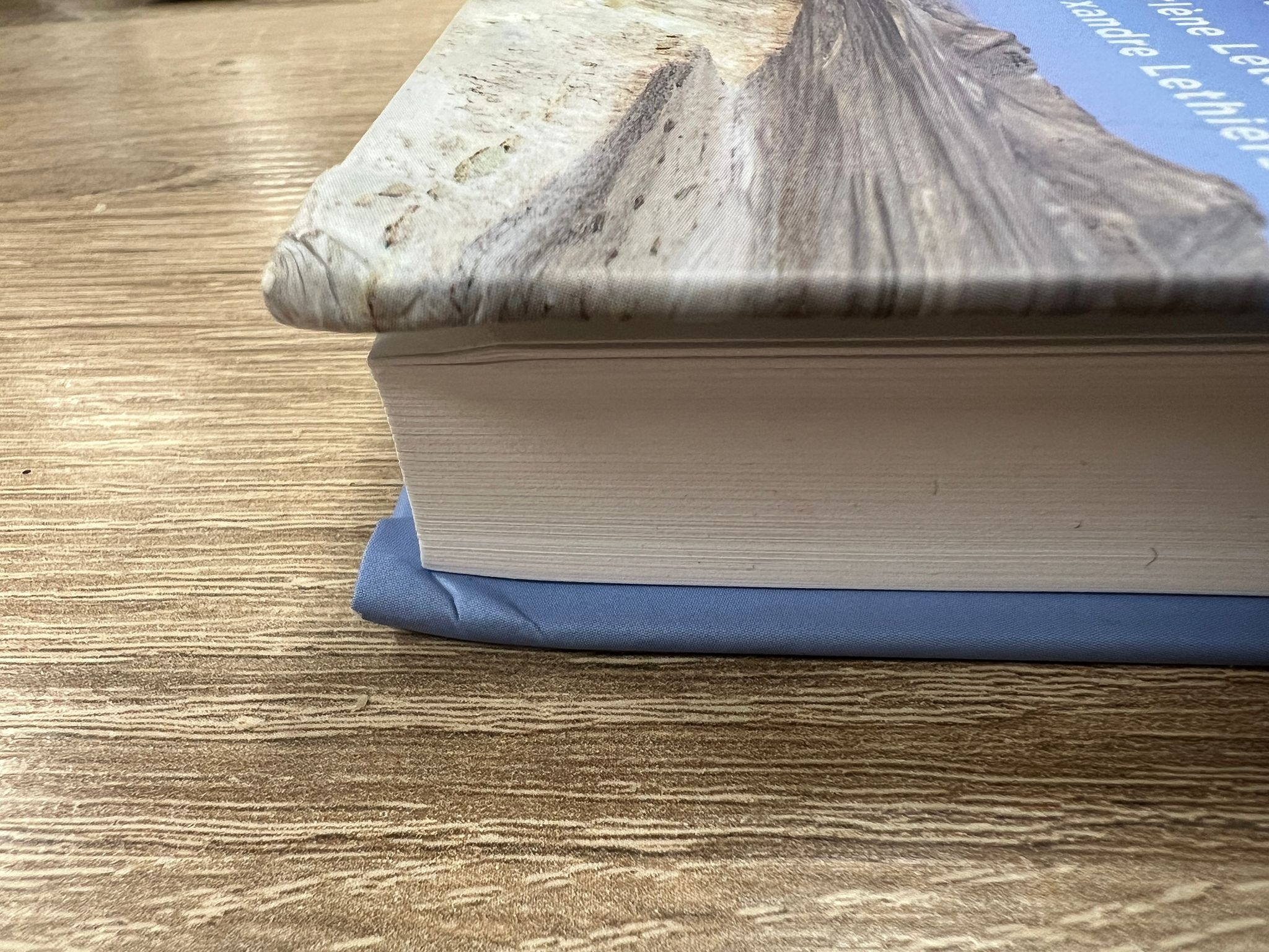 Damaged copy - The Rise of Mammals in Africa