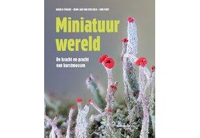 Miniatuurwereld