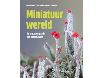 Miniatuurwereld