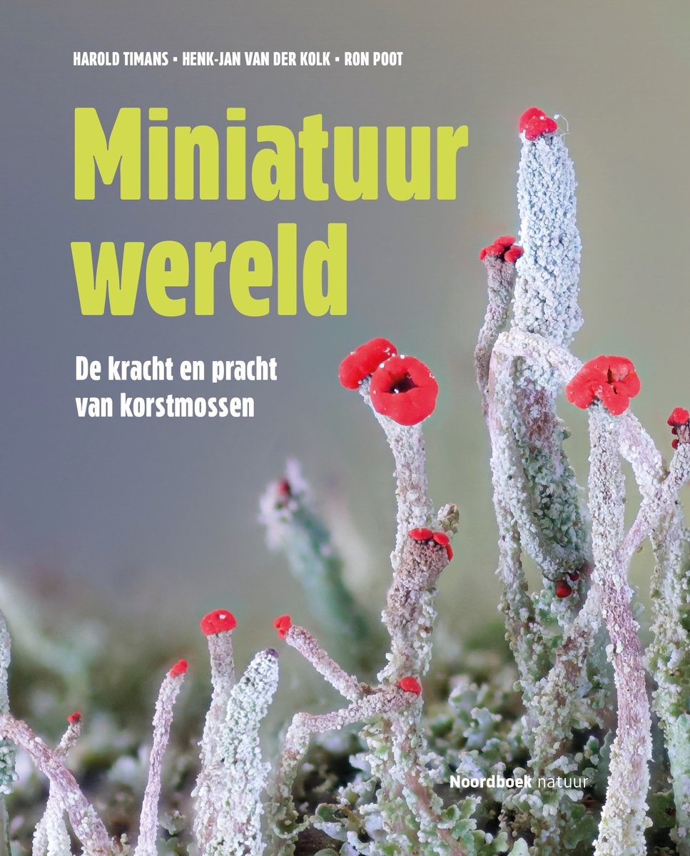 Miniatuurwereld - De kracht en pracht van korstmossen