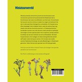 Miniatuurwereld - De kracht en pracht van korstmossen