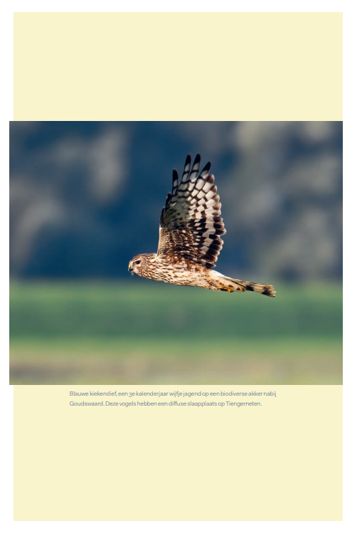 Jodelende wulpen & keukentafels - Landbouw door vogelogen