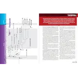 The Princeton Encyclopedia of Dinosaurs - Theropods