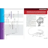 The Princeton Encyclopedia of Dinosaurs - Theropods