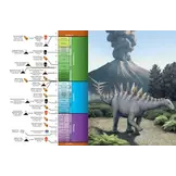 The Princeton Encyclopedia of Dinosaurs - Ornithischians