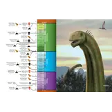 The Princeton Encyclopedia of Dinosaurs - Sauropods