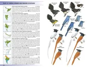 Birds of the Indian Subcontinent