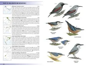 Birds of the Indian Subcontinent