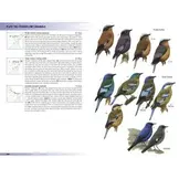 Birds of the Indian Subcontinent