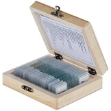 AmScope 25 Glass Prepared Microscope Slides with Wooden Box