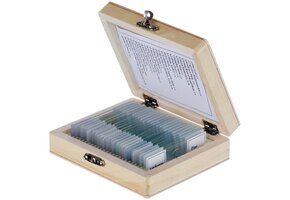AmScope 25 geprepareerde objectglaasjes met houten doosje