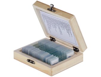 AmScope 25 Glass Prepared Microscope Slides with Wooden Box