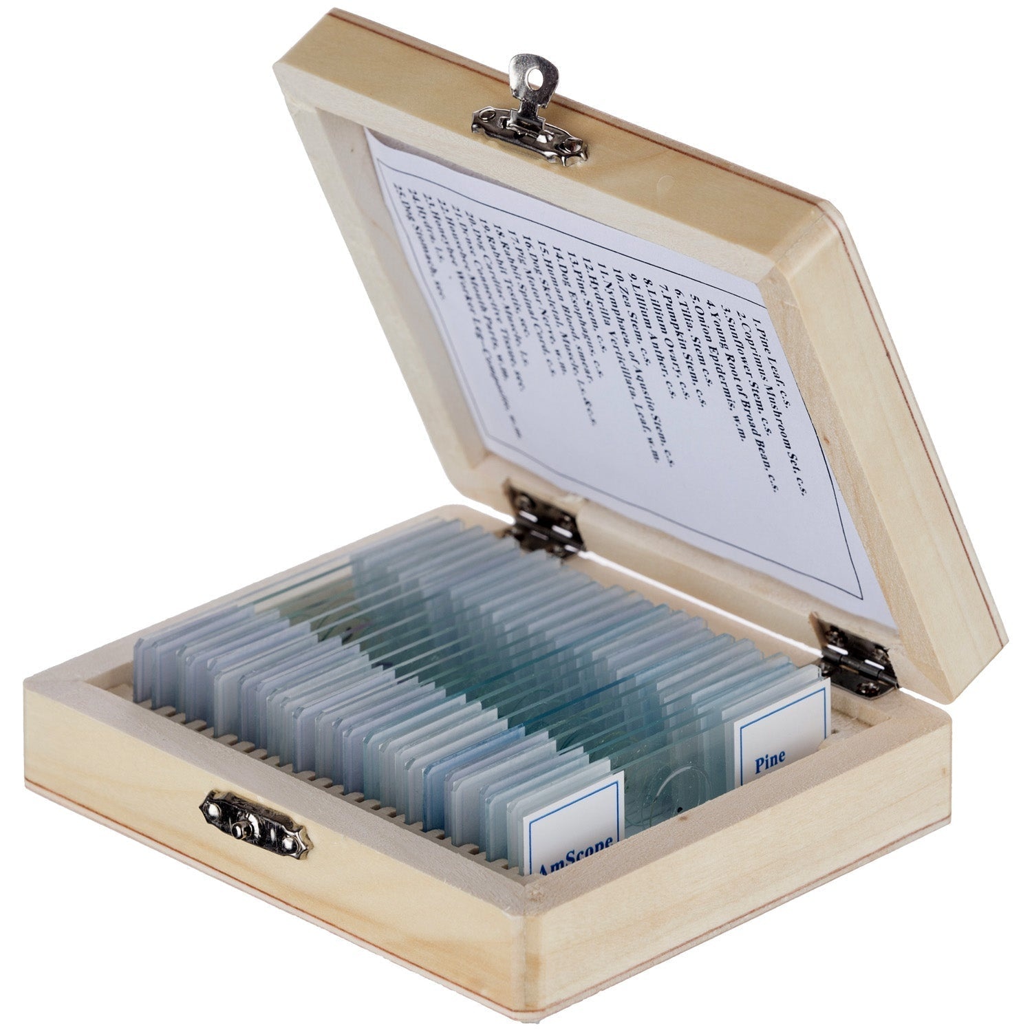 AmScope 25 Glass Prepared Microscope Slides with Wooden Box