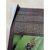 Beschädigte Kopie - Fotogids Zweefvliegen van NW-Europa