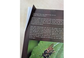 Beschadigd exemplaar - Fotogids Zweefvliegen van NW-Europa