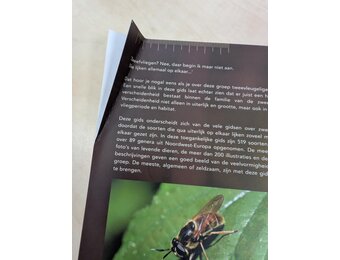 Beschadigd exemplaar - Fotogids Zweefvliegen van NW-Europa