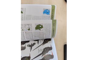 Beschadigd exemplaar - Birds of East Africa