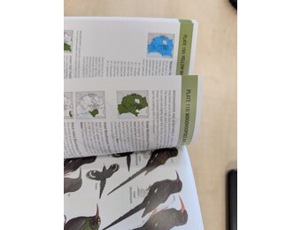 Beschadigd exemplaar - Birds of East Africa