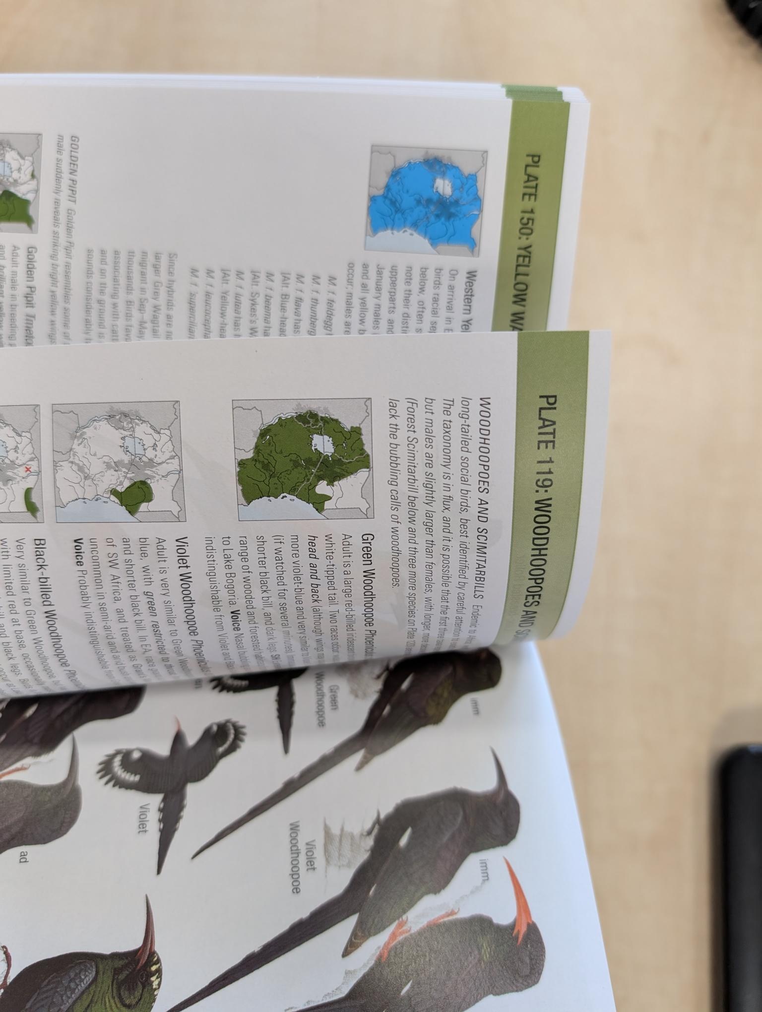 Damaged copy - Birds of East Africa - Kenya, Tanzania, Rwanda, Uganda, Burundi