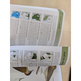 Damaged copy - Birds of East Africa - Kenya, Tanzania, Rwanda, Uganda, Burundi