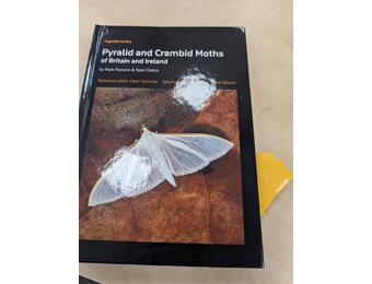 Beschadigd exemplaar - A Guide to the Pyralid and Crambid Moths of Britain and Ireland