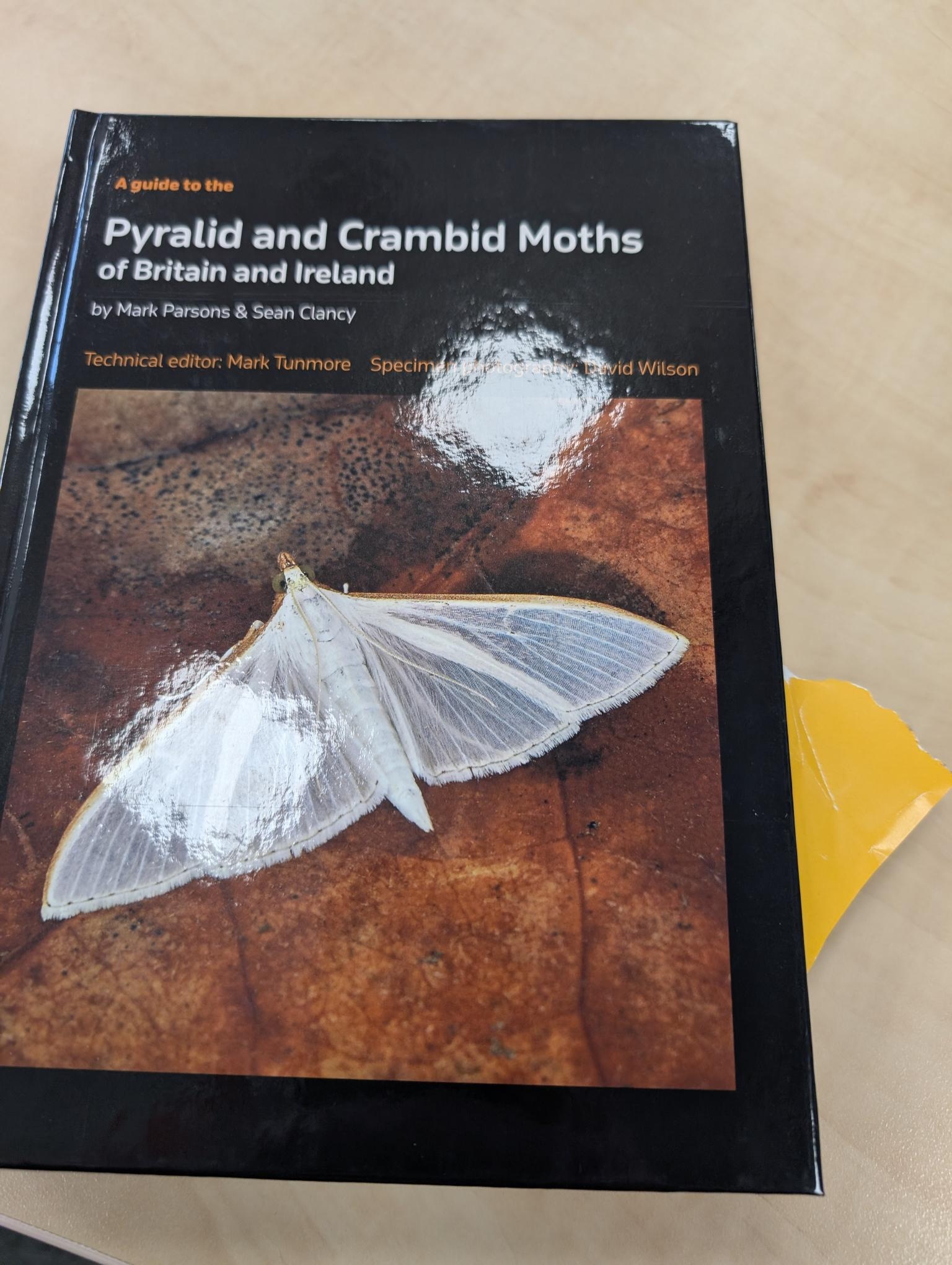 Beschädigte Kopie - A Guide to the Pyralid and Crambid Moths of Britain and Ireland