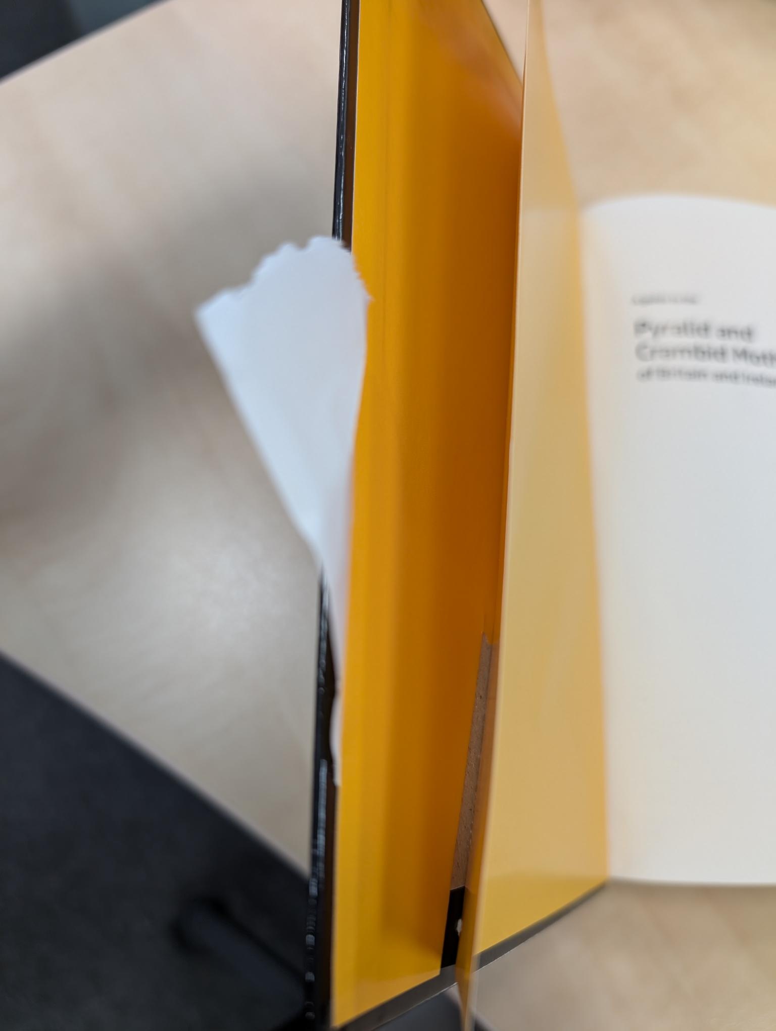 Beschädigte Kopie - A Guide to the Pyralid and Crambid Moths of Britain and Ireland