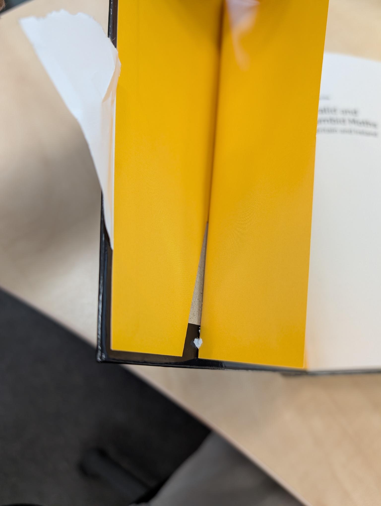 Beschadigd exemplaar - A Guide to the Pyralid and Crambid Moths of Britain and Ireland