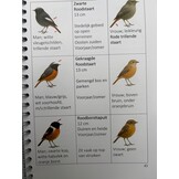 De makkelijkste Vogelgids voor beginners